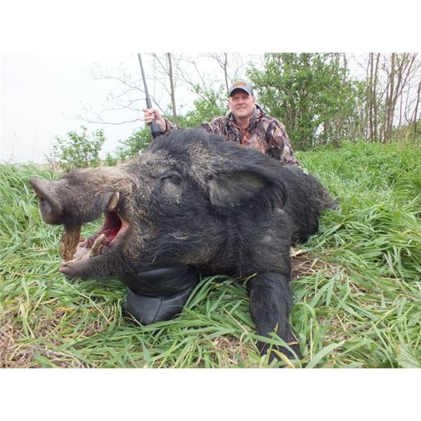 Touring and Wild Boar Hunting in Serbia
