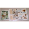 Image 1 : (2) AC Implement Brochures--Roto Baler & Forage Equipment