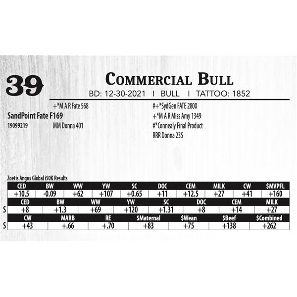 Commercial Bull - SandPoint Fate F169