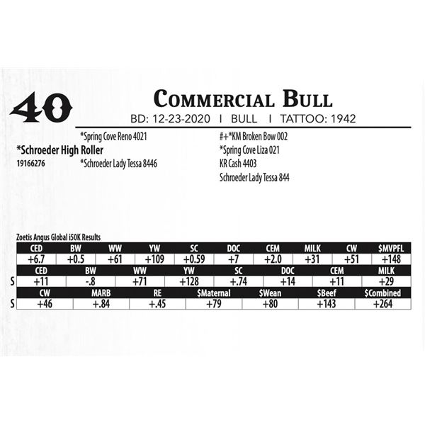 Commercial Bull - Schroeder High Roller