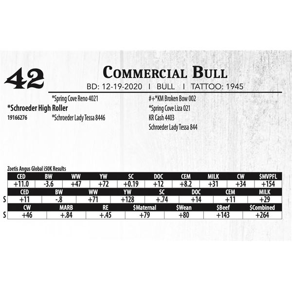 Commercial Bull - Schroeder High Roller