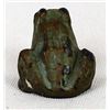 Image 5 : Miniature Bronze Frog