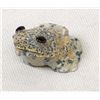 Image 1 : Zuni Carved Fishrock Frog by Ricky Laahty