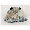 Image 6 : Zuni Carved Fishrock Frog by Ricky Laahty