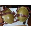 Image 1 : pair Ninja Turtle Shells/shields