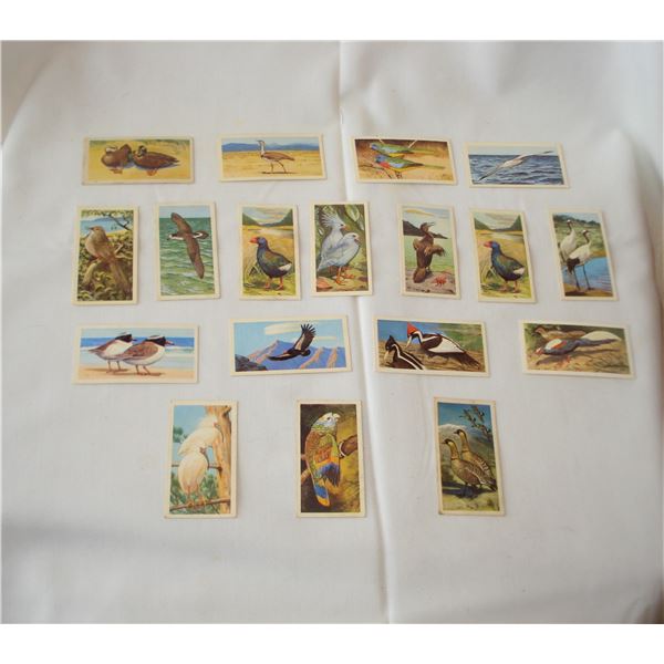 Brooke Bond Wildlife in Danger Cards  Birds