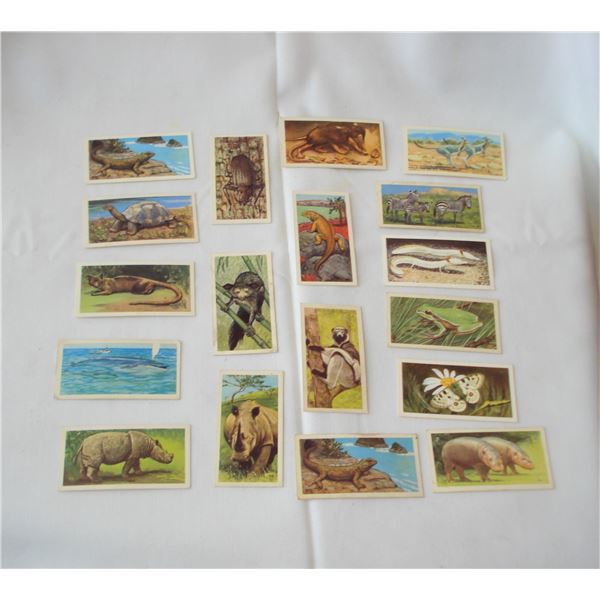 Brooke Bond Wildlife in Danger Cards  Birds