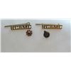 Image 1 : RCAMC Pins