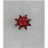 Image 1 : Vintage Red Star brooch
