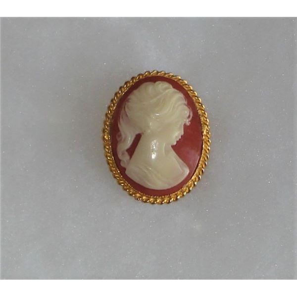 Resin Cameo Brooch