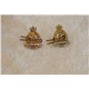 Image 1 : pair. Royal Canadian Army Medical Corp Pins
