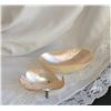 Image 1 : small iridescent shell bowls