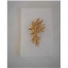 Wheat Brooch
