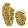 Image 1 : Lot of Yukon Gold Nuggets 8.29 Grams Total Weight