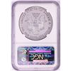 Image 2 : 2013-W $1 Proof American Silver Eagle Coin NGC PF70 Ultra Cameo