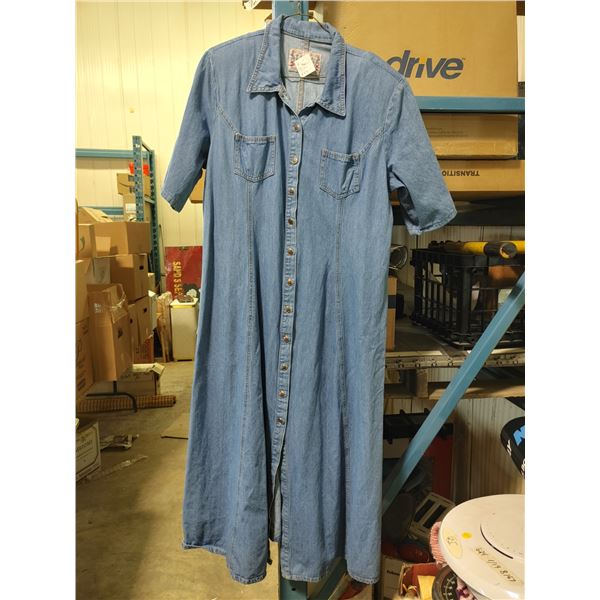 Pashu Denim Blue Jean Dress