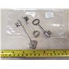 Image 1 : 3 SKELETON KEYS