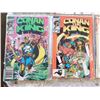 Image 3 : 10 CONAN THE KING MARVEL COMICS