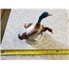 Image 2 : VINTAGE CERAMIC MALLARD DUCKS STAMP ON BOTTOM
