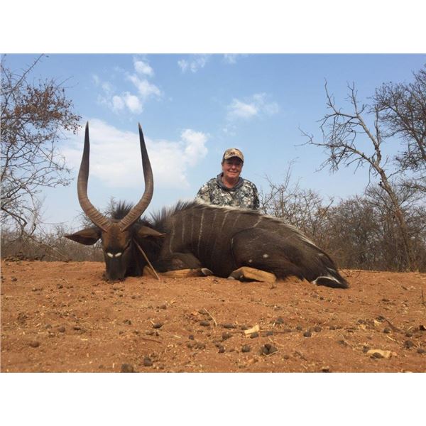 UMDENDE HUNTING SAFARIS: Zululand, South Africa