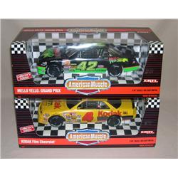 (2) AM NASCAR'S--Kyle Petty & Irwin