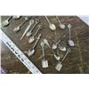 Image 4 : Collector Spoons