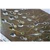 Image 3 : Collector Spoons