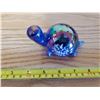 Image 1 : GLASS TURTLE