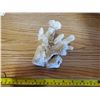 Image 1 : WHITE CORAL