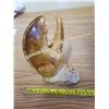 Image 2 : LOBSTER CLAW ON CLAMSHELL