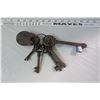 Image 1 : Iron Décor Lock & Skeleton Keys