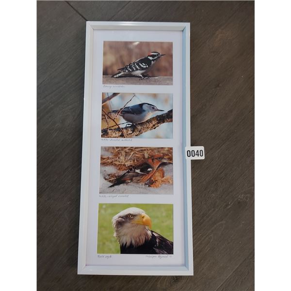 Assorted Bird Pictures in Frame by Monique Raymond 19"h x 8 1/2"w