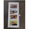 Image 1 : Assorted Bird Pictures in Frame by Monique Raymond 19"h x 8 1/2"w