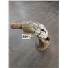 Image 5 : Tusk/Horn Sea Turtle Carving 9 1/2"h x 9 1/2"w