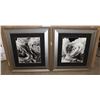 Image 1 : LOT OF 2 FRAMED FLOWER PICTURES