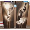 Image 1 : LOT OF 2 CANVAS FLOWER PICTURES