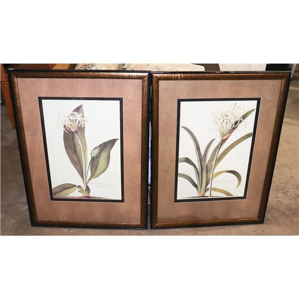 LOT OF 2 FRAMED FLOWER PICTURES