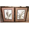 Image 1 : LOT OF 2 FRAMED FLOWER PICTURES