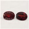 Image 1 : GARNET(2.6CT)