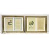 Image 1 : BOTANICAL PRINTS -7 PRINTS TAKEN FROM CIRCA 1800'S