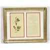 Image 4 : BOTANICAL PRINTS -7 PRINTS TAKEN FROM CIRCA 1800'S