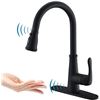 Image 1 : NEW REPACKAGED GEOATON CENSORED KITCHEN FAUCET