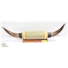 Image 1 : PAIR OF BULL HORNS - WITH A DIAMETER OF 28"