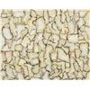Image 1 : American Oil on Board Signed de Kooning