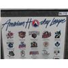 Image 2 : American Hockey League Picture including Moose 2001-2002 Season - 29" x 24"