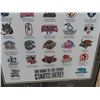 Image 3 : American Hockey League Picture including Moose 2001-2002 Season - 29" x 24"
