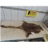 Image 1 : Kangaroo Tanned hide 33" x 26" plus tail 28" Long