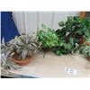 Image 2 : Artificial Plants & Mirror 27.5"L x 21.5" W