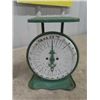 Image 2 : Coleman Gas Iron, Family Scale & Posture Scale