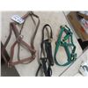 Image 2 : 3 Halters & 2 Bridles